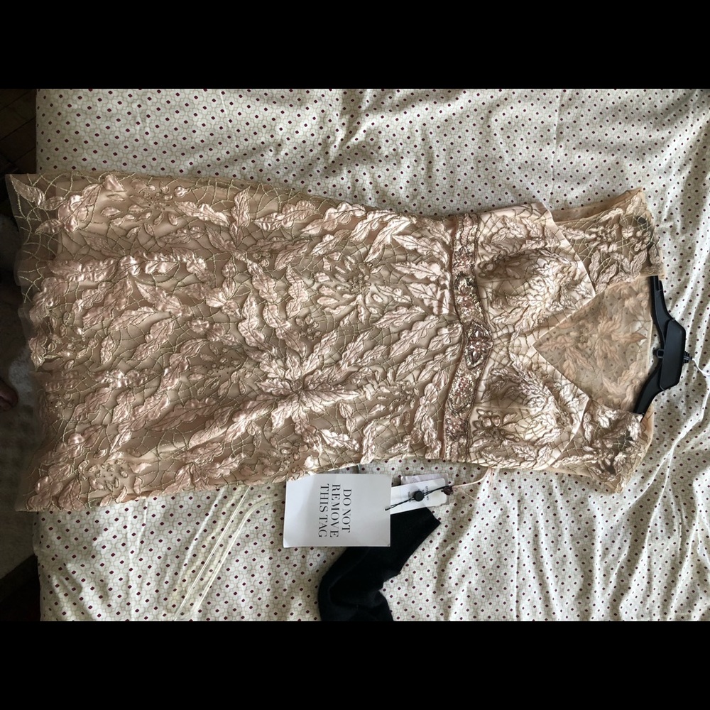 Sue Wong Shimmer Dress